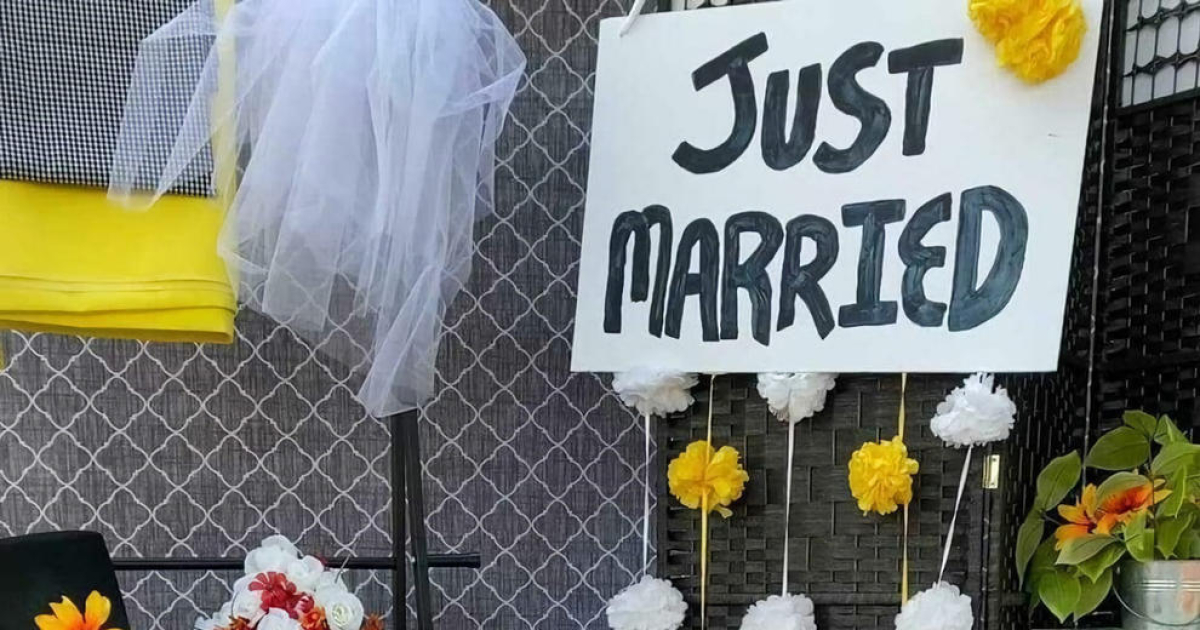 Un Boda Colectiva De Perros Para El Libro Guiness De Los Records