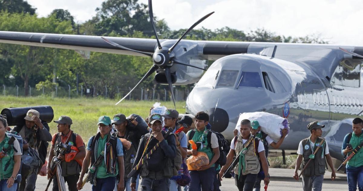 Siguen buscando a los 4 niños desaparecidos después del accidente aéreo