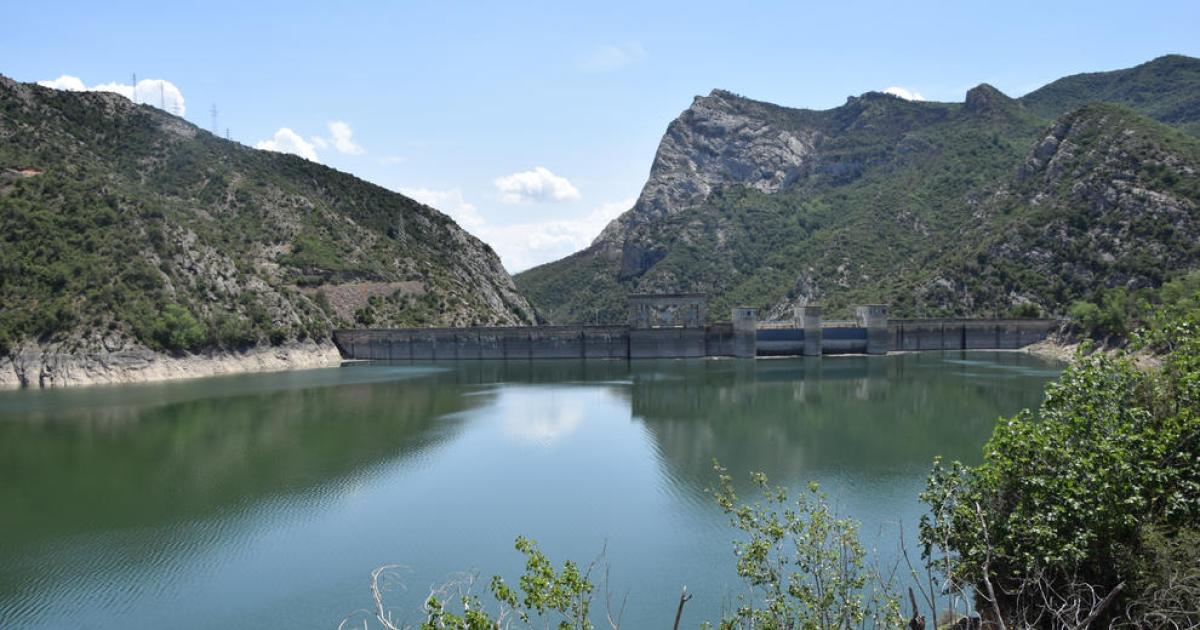 Regants de l Urgell demanen aigua per salvar la fruita al créixer les