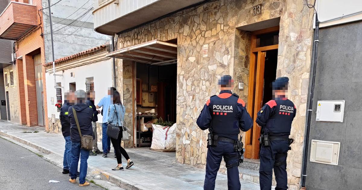 They dismantled a marijuana farm in a house in the Pardenes area of ​​Lleida, and two people were arrested