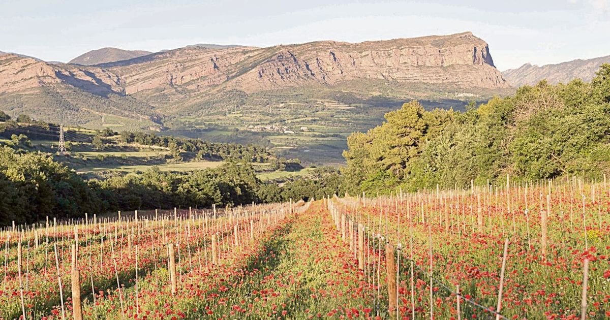 Diez bodegas estrenan una ruta enoturista que busca integrar la propuesta del paisaje
