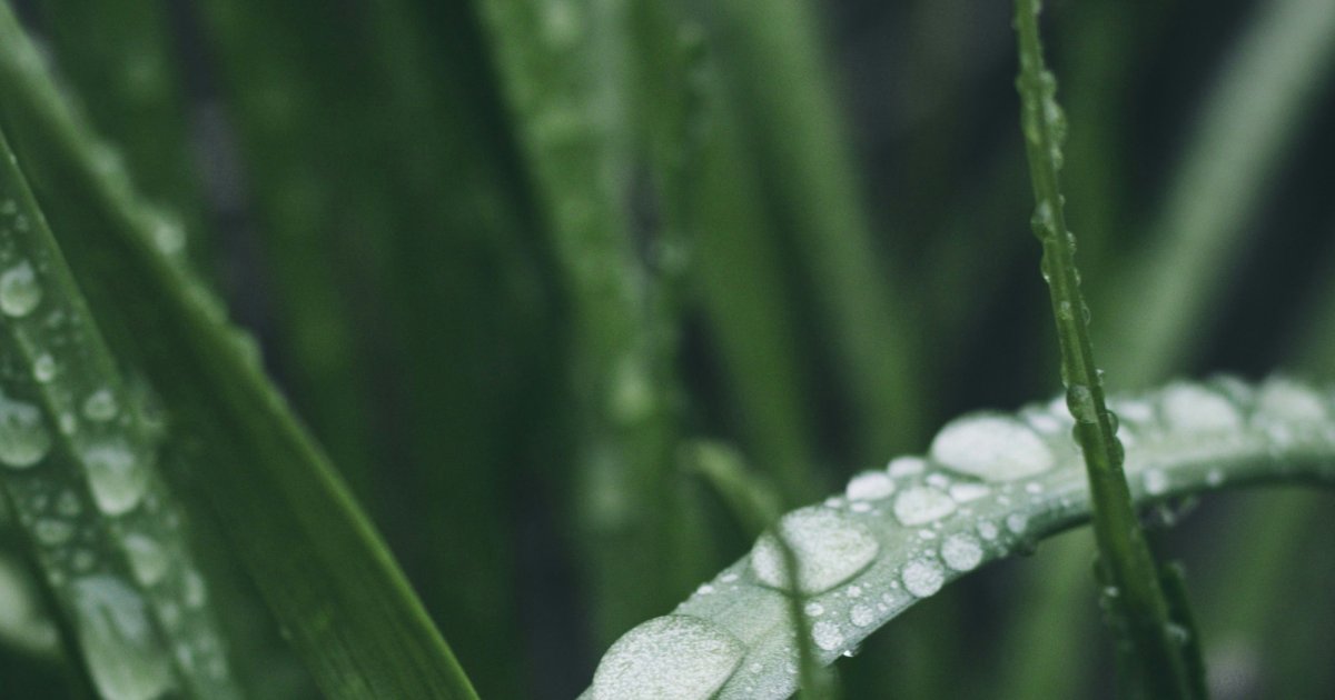 Andie case leaked onlyfans A empresa dispõe de filtro