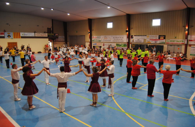 Trobada de gegants, ahir a l’Albi.