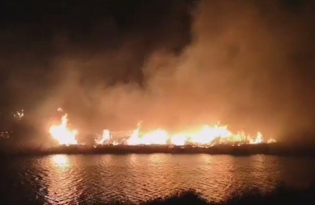 Un incendi crema matolls al marge del riu a Rufea