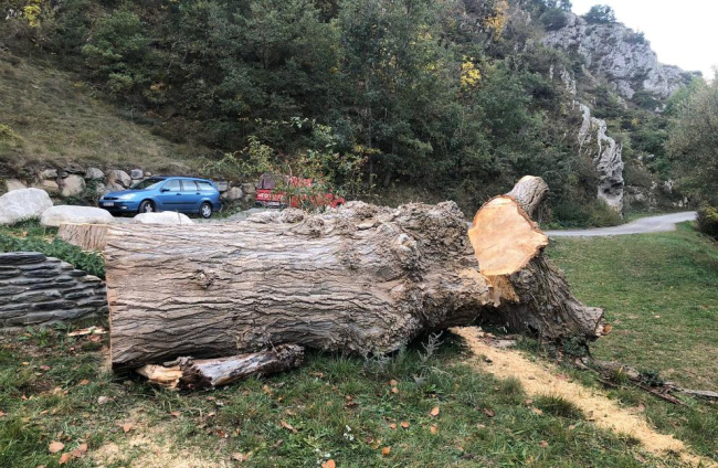 Imagen de la ‘Tronca’ gigante que se encuentra en la plaza del Ajuntament de Esterri d’Àneu.