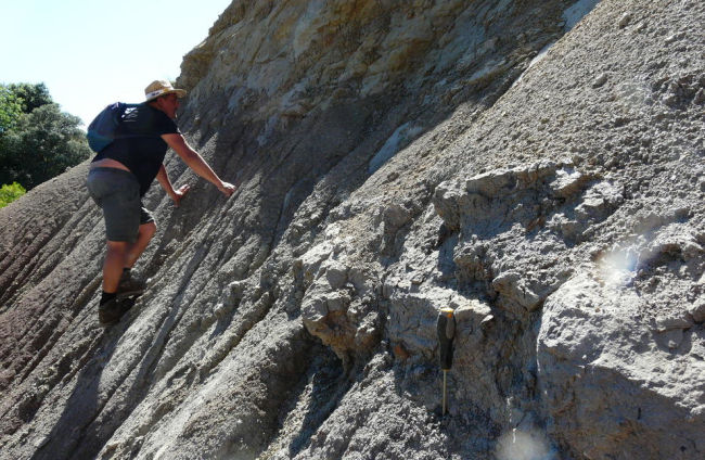 Taller de verano de arqueología “Cota Zero” en el Castell Formós, en la comarca de la Noguera.