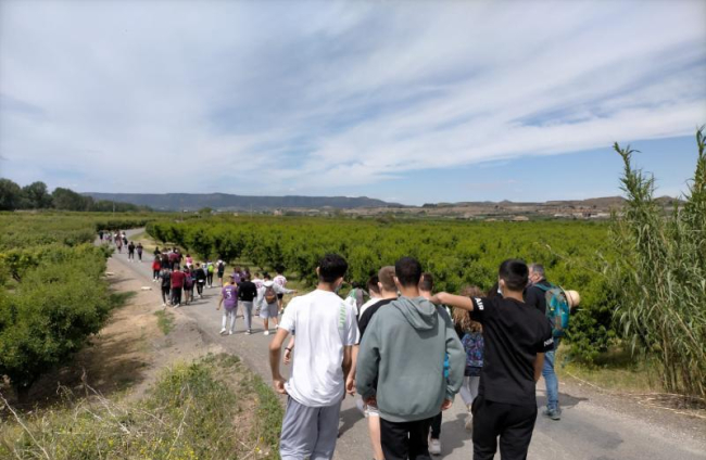 Les zones que s'havien de netejar es van delimitar prèviament.