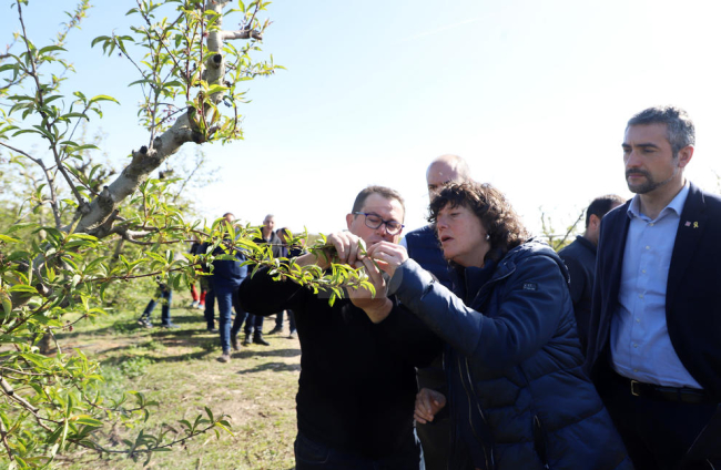 La consellera d'Acció Climàtica, Alimentació i Agenda Rural, Teresa Jordà, durant la visita a finques de Corbins afectades per les últimes gelades.