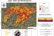 Burn area: el total del área quemada y la severidad del incendio