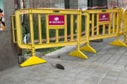 Imatge de fa unes setmanes d’una rata a l’avinguda Alacant. - AVV ARRELS DE CAPPONT