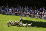 Récord de asistencia, con 2.500 personas