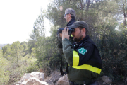 Imatges de l'incendi de la Ribera d'Ebre, que afecta a diversos indrets de les Garrigues i el Segrià