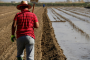 Un agricultor en la primera jornada de la campaña de riegos en una finca de Vilanova de Bellpuig.