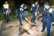 Imagen de 2009 de un jabalí abatido por urbanos tras aparecer malherido cerca de Pardinyes.