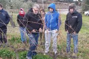 Alumnos de este grado del IES Josep Vallverdú atienden en una clase sobre la poda de viñedos.