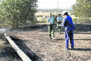 El poste de la línea eléctrica que causó el incendio. 