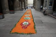 Catifes de flors a Lleida. Corpus 2021