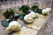 Rosas blancas junto a los Stolpersteine colocados en la Plaça de l’Ajuntament de Igualada.