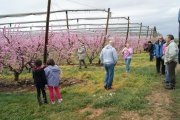 Promoción turística con la floración de frutales  ■  El ayuntamiento de Alcarràs ha editado un vídeo con el que busca la promoción turística a través de la floración de los frutales del municipio y que se divulga a través de las redes sociales.