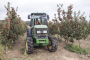 La finca està destinada a la producció de la varietat gala roja.