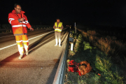 Un jabalí provocó un accidente la noche del lunes en la LL-12 en Albatàrrec. 