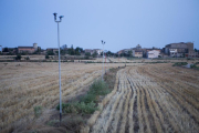 Una finca regada en la zona de Concabella, en la Segarra. En total, el agua llega a 35 municipios de cinco comarcas del llano de Lleida.