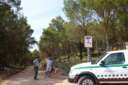 Imatge d'arxiu de l'accés a un bosc.