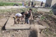 Varios jóvenes trabajando como voluntarios el año pasado en un campo de Agramunt. 