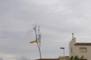 Imagen de la plantada del chopo del año pasado en Vallfogona de Balaguer. 