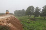 Bosc urbà als Magraners - La Paeria ha iniciat l’adequació del bosc urbà dels Magraners, el quart de la ciutat, que tindrà 10.000 m² i on es plantaran 237 arbres. El projecte té un cost de 152.000 euros i un termini d’execució de 20 setm ...