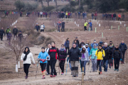 La quarta Marxa de la Boira, celebrada ahir al matí a Tàrrega i voltants, va comptar amb una inscripció de 800 participants en dos circuits a elegir de 10 i 24 km.