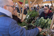 Imatge de la fira de productors locals a Cervera.