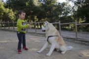 Un niño jugaba ayer con su perro en el Parc de Santa Cecília de Lleida. 