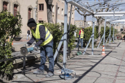 Las obras de reforma del paseo Jaume Balmes de Cervera.