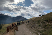 Els guies voluntaris, amb els animals camí de Coll de Nargó.