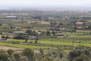 Imagen aérea de l’Horta, donde se usa espantapájaros acústicos en acticividades agrícolas.