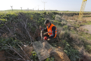 El cazador autorizado para capturar conejos en Alguaire, el pasado viernes en la zona del aeropuerto donde se encuentran las señales luminosas que guían a los aviones.