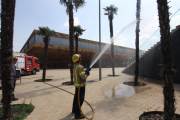 Incendis ahir a Pardinyes - Els Bombers de la Generalita van sufocar ahir dos focs causats probablement per petards al barri de Pardinyes. Els Bombers van haver d’anar a la matinada a la plaça de la Llotja per remullar les palmeres. D’altra ba ...