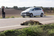 Imagen de archivo de un coche dañado al chocar con un jabalí en la Segarra.