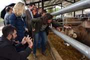 La consellera Jordà acaricia un dels vedells de raça bruna.