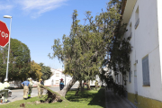 Retirada de la piscina que cayó en la calle en Les Borges.