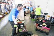 Voluntarios trabajaban ayer codo con codo clasificando los alimentos del Banc dels Aliments de Lleida. 