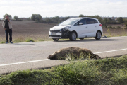 Imagen de archivo de un accidente al chocar con un jabalí.