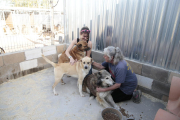 Les protectores acullen la majoria d’animals abandonats. A la foto, la de Lydia Argilés, a Lleida.