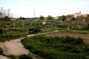 Los huertos urbanos ubicados en el barrio de Pardinyes de Lleida, ayer por la tarde desiertos.