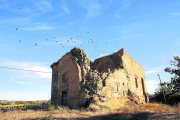 Una imatge recent de les restes del monestir de Sant Ruf de Lleida, colonitzat pels coloms.