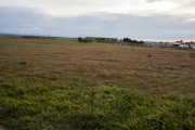 Los terrenos donde está prevista la instalación de más de siete mil paneles solares en Anglesola.