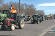 Tractorada a Lleida en defensa del sector
