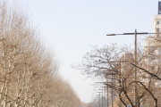 Decenas de tractores estacionados en la avenida Madrid de Lleida, ayer.