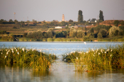 El actual Estany tiene un alto valor ecológico y ha supuesto también la recuperación de una parte de la memoria colectiva local.